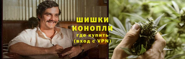 PSILOCYBIN Алексеевка