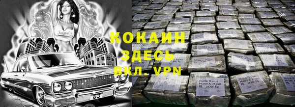 ешки Алексин