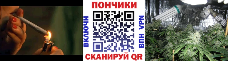 MEGA ONION  Оса  Бошки марихуана THC 21%  где продают наркотики 